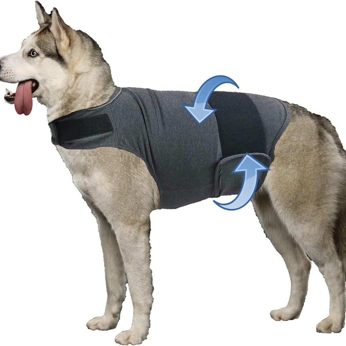 Hug Vest — Deep-Pressure Comfort Wrap for Dogs