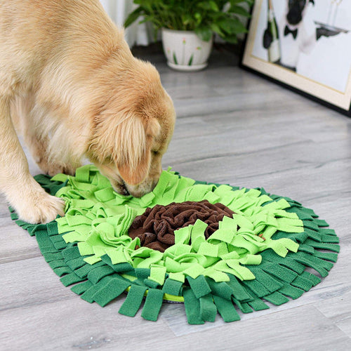 SniffNest snuffle mat in the Avocado shape — golden retriever foraging in a sunlit living room