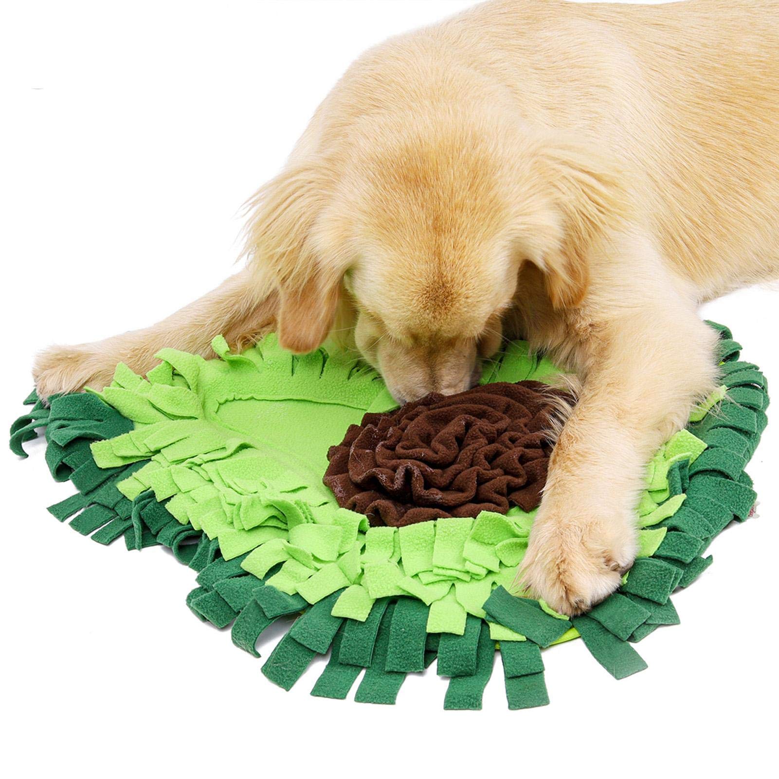 Avocado-shape snuffle mat — full product view with dog lying on side, showing the dense fleece petals and brown center "pit"