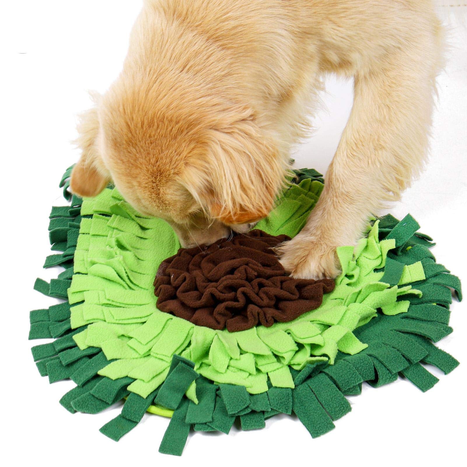Avocado-shape snuffle mat — top-down view, golden retriever foraging on the mat